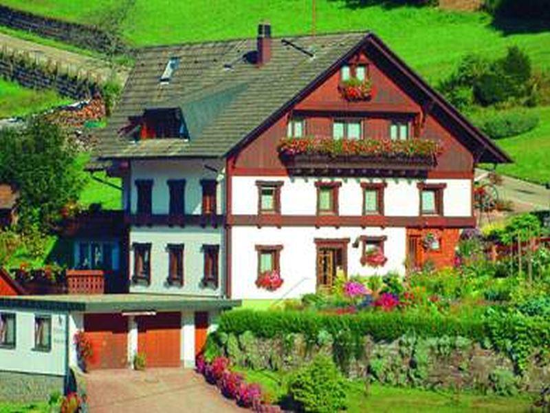 Gaestehaus Heimenberg Bad Rippoldsau-Schapbach Buitenkant foto
