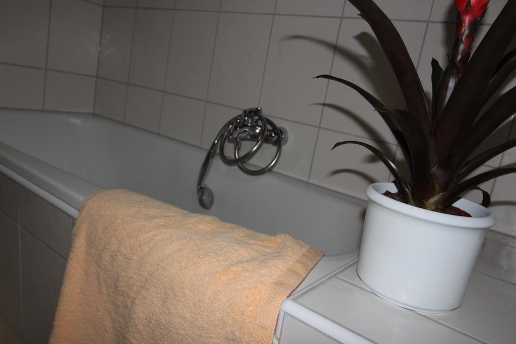 Gaestehaus Heimenberg Bad Rippoldsau-Schapbach Buitenkant foto