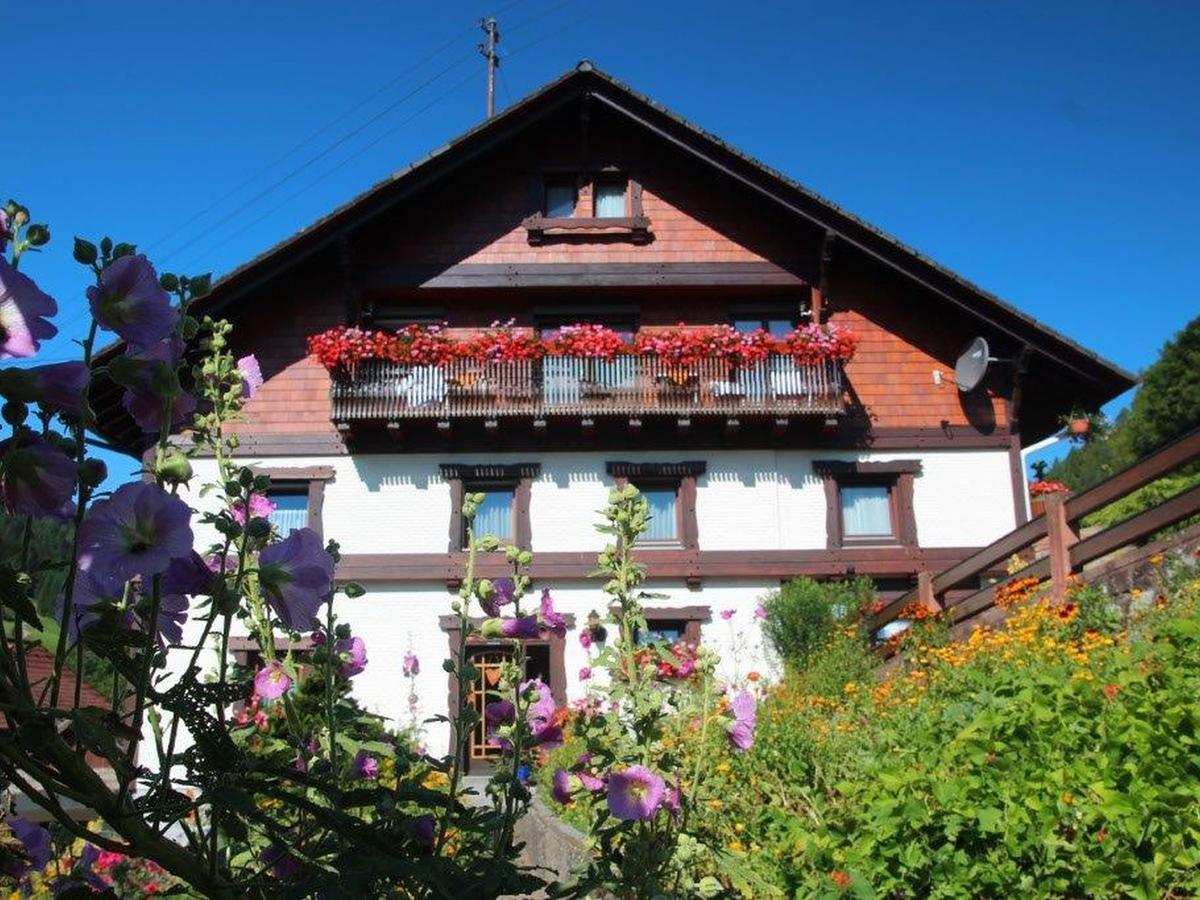 Gaestehaus Heimenberg Bad Rippoldsau-Schapbach Buitenkant foto